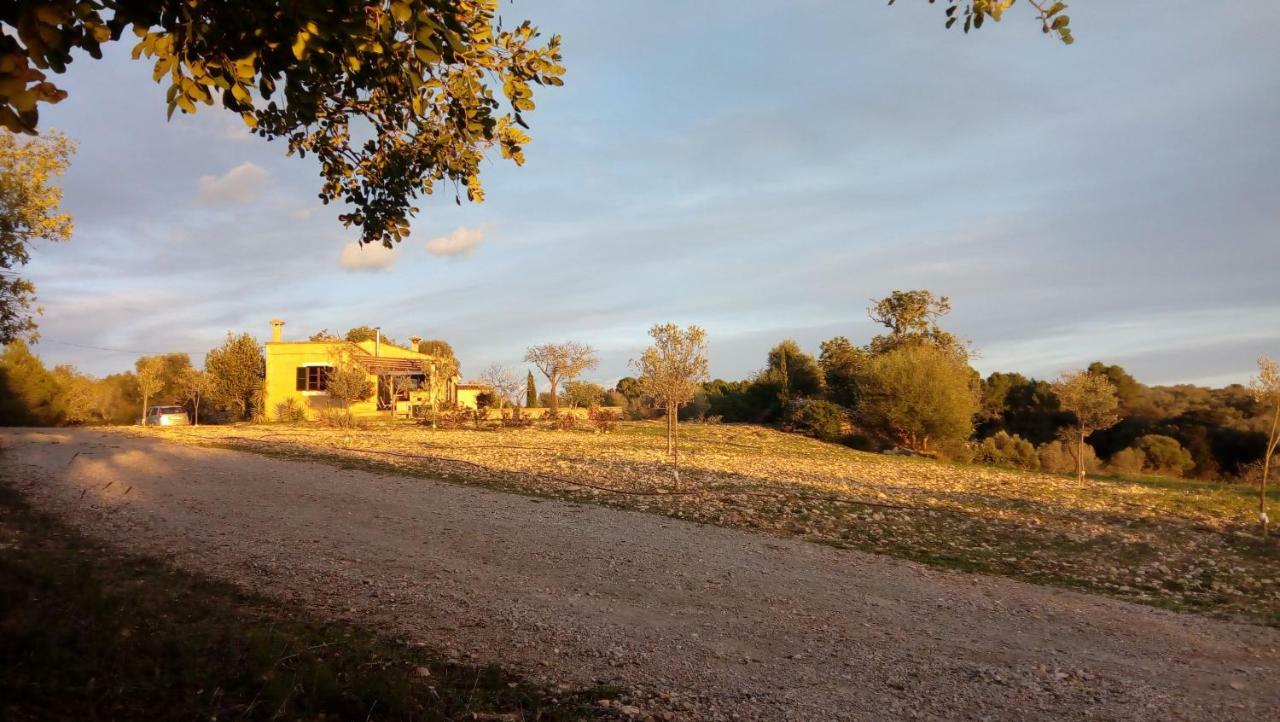 Sa Comella Porreres Bagian luar foto